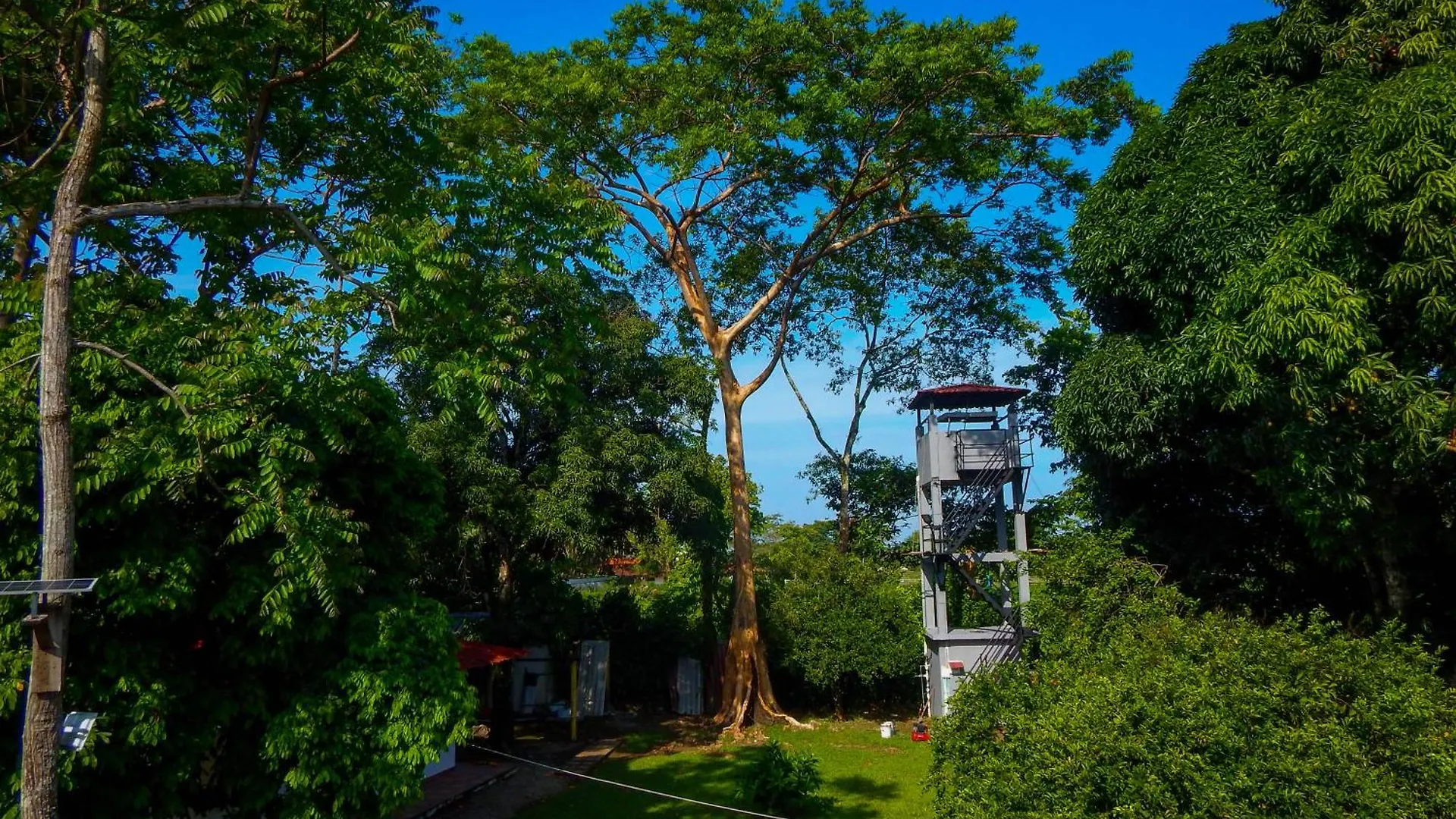 Hotel campestre las palmas Villavicencio